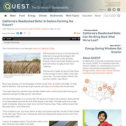 California's Deadlocked Delta: Is Carbon Farming the Future?