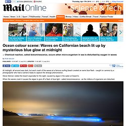 California dreaming? Waves at popular surfer beach glow bright blue at midnight