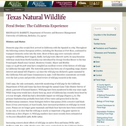 Feral Swine: The California Experience « Texas Natural Wildlife