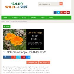 10 California Poppy Health Benefits -