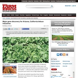 Major gene discovery for Arizona, California lettuce industries