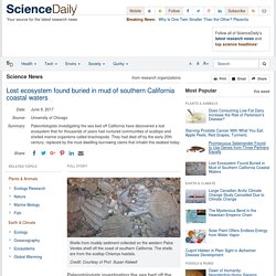 Lost ecosystem found buried in mud of southern California coastal waters