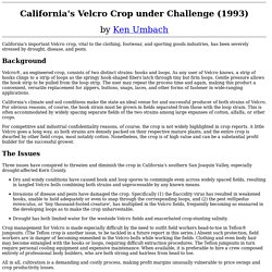 California's Velcro Crop Under Challenge