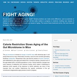 Calorie Restriction Slows Aging of the Gut Microbiome in Mice