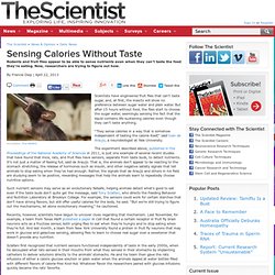 Sensing Calories Without Taste