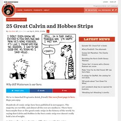 25 Great Calvin and Hobbes Strips.