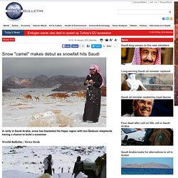 Snow "camel" makes debut as snowfall hits Saudi