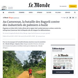 LE MONDE 26/08/21 Au Cameroun, la bataille des Bagyeli contre des industriels de palmiers à huile