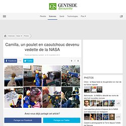 Photos - Camilla, un poulet en caoutchouc devenu vedette de la NASA