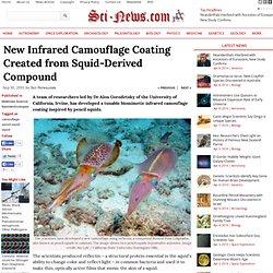New Infrared Camouflage Coating Created from Squid-Derived Compound