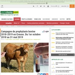 Campagne de prophylaxie bovine 2018-2019 en Creuse. Du 1er octobre 2018 au 31 mai 2019, Elevage