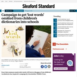 Campaign to get ‘lost words’ omitted from children’s dictionaries into schools - Sleaford Standard