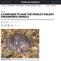A Campaign To Save The World's Ugliest Endangered Animals