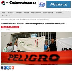 Juez emitió acuerdo a favor de Monsanto: campesinos de comunidades en Campeche