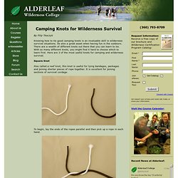 Camping Knots for Wilderness Survival