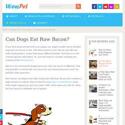 Can Dogs Eat Raw Bacon? - WewPet