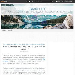 Can You Use CBD To Treat Cancer In Dogs?