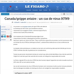 Canada/grippe aviaire : un cas de virus H7N9