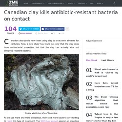 Canadian clay kills antibiotic-resistant bacteria on contact
