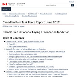 Canadian Pain Task Force Report: June 2019