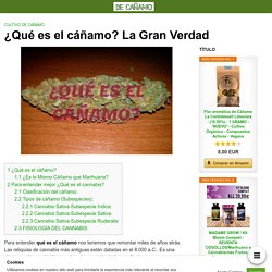 ¿Qué es el cáñamo? La Gran Verdad