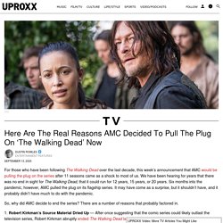 Why Did AMC Cancel 'The Walking Dead' Now? The Real Reasons