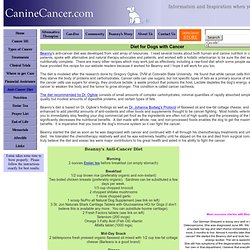 Cancer fighting diet for dogs