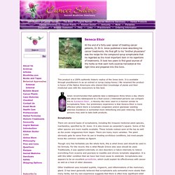 Anti-Cancer Tonics - Cancer Herbs - Scrophularia - Cancer Salves