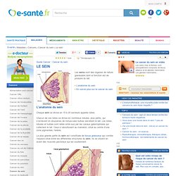 Cancer du sein, toutes les informations sur le cancer du sein avec e-sante.fr - Cancer du sein – e