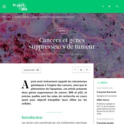 Cancers et gènes suppresseurs de tumeur