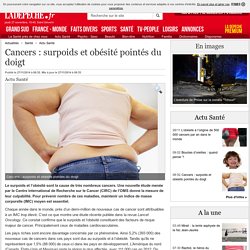 Cancers : surpoids et obésité pointés du doigt - 27/11/2014