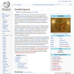 Candida (genre)