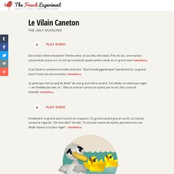 Le Vilain Caneton - Learn French with French Children's Stories
