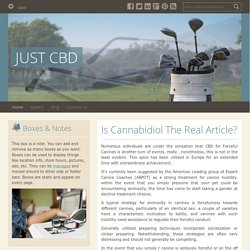 Is Cannabidiol The Real Article?