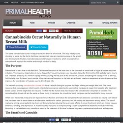 Cannabinoids Occur Naturally in Human Breast Milk