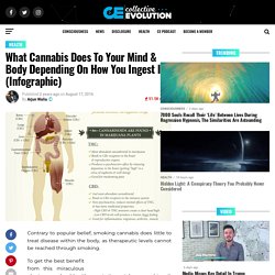 What Cannabis Does To Your Mind & Body Depending On How You Ingest It (Infographic)