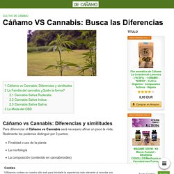 Cáñamo VS Cannabis: □ Busca las Diferencias