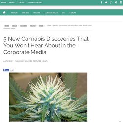 5 New Cannabis Discoveries That You Won’t Hear About in the Corporate Media