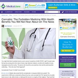 Cannabis: The Forbidden Medicine With Health Benefits You Will Not Hear About On The News