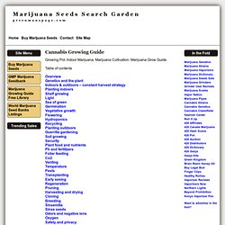 Cannabis Growing Guide