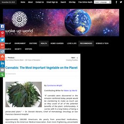Cannabis: The Most Important Vegetable on the Planet
