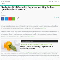 Study: Medical Cannabis Legalization May Reduce Opioid-Related Deaths - botanika.life