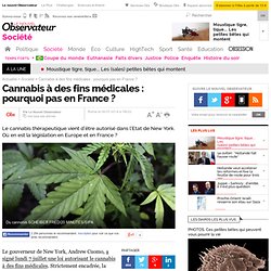 Cannabis à des fins médicales : pourquoi pas en France ?