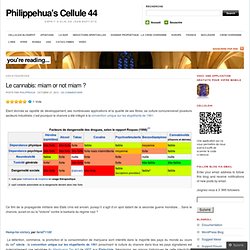 Le cannabis: miam or not miam ? « Philippehua's Cellule 44