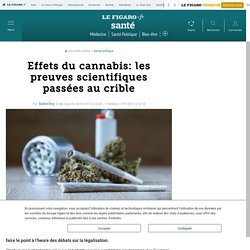 Effets du cannabis: les preuves scientifiques passées au crible