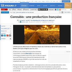 France : Cannabis : une production française