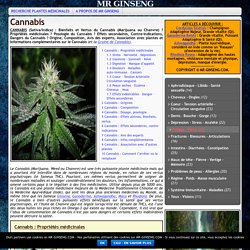 CANNABIS (Sativa/Indica) : Propriétés, Bienfaits, Dangers ?