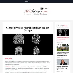 Cannabis Protects Against and Reverses Brain Damage – REALfarmacy.com