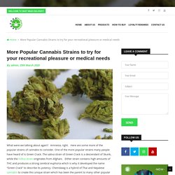 More Popular Cannabis Strains to try for your recreational pleasure or medical needs