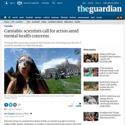 Cannabis: scientists call for action amid mental health concerns
